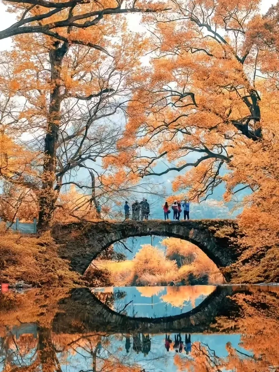 e3c13aa9d5ccd9638434e684b9fa8090-sz_497408 e3c13aa9d5ccd9638434e684b9fa8090-sz_497408