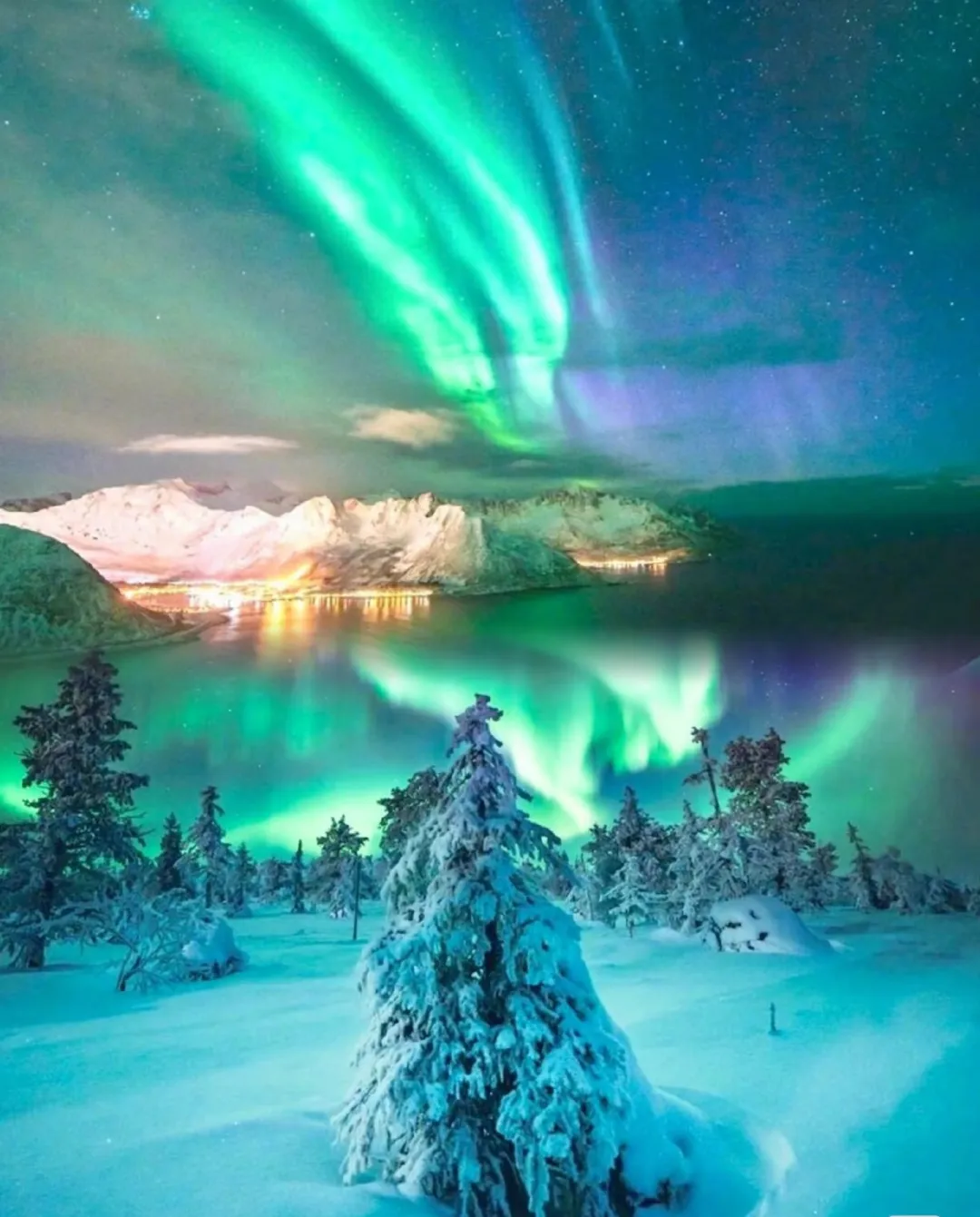 e3c2d2213aba28e435fa6b31f3a7b028-sz_423392-1