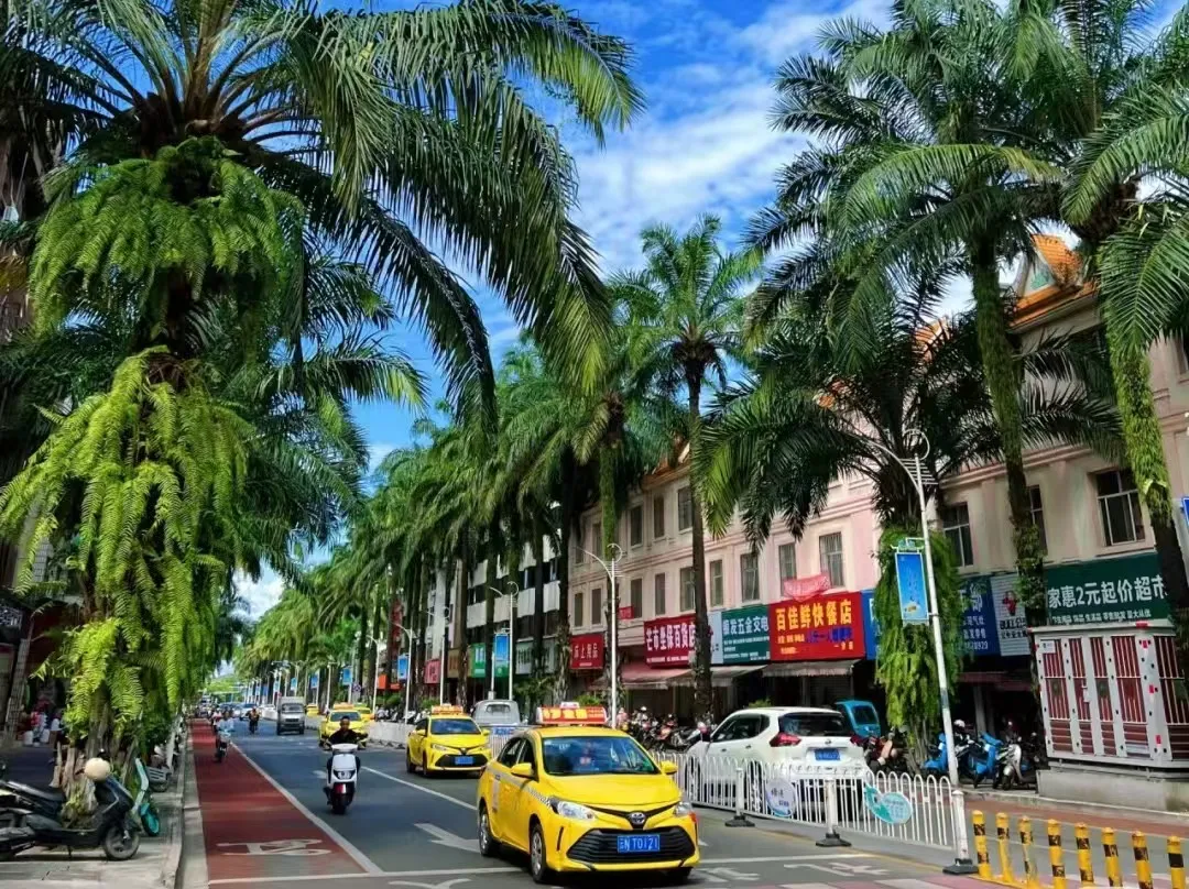 e41988d2f33c176a07988b8b2062ce90-sz_390970