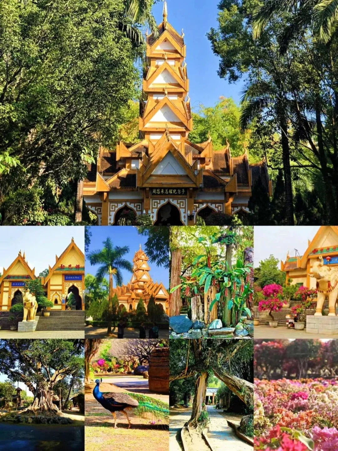 e4285e21bf2ada82954242af57c55195-sz_2962036-2