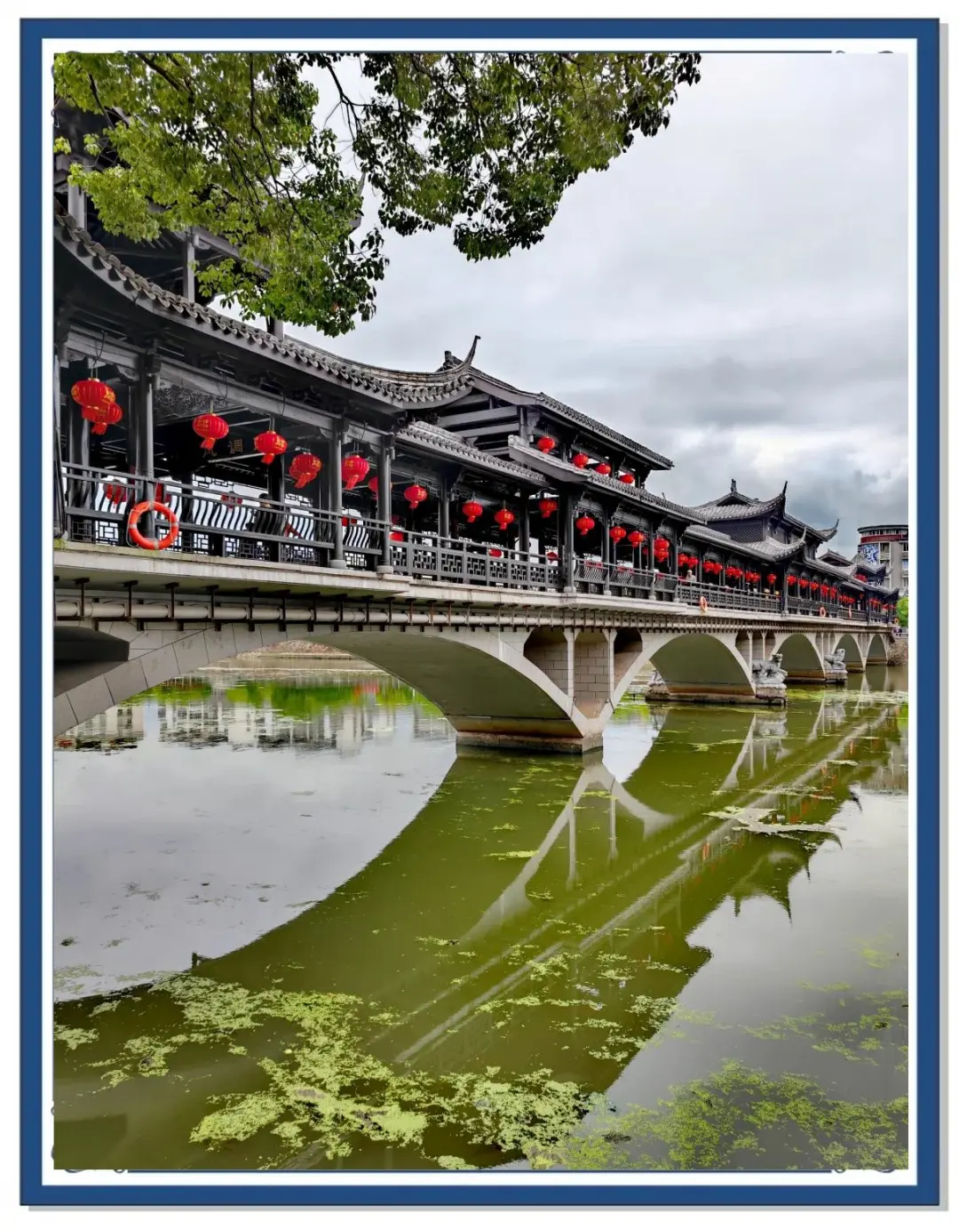 e446cd50b4940dc359562cb5f0e43a0c-sz_336520