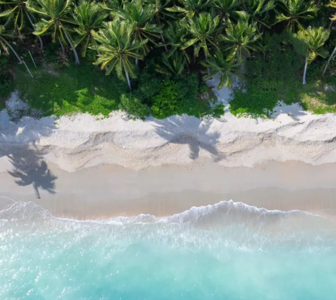 e47b170f2b2105b91fd8498971bccc06-sz_2102641