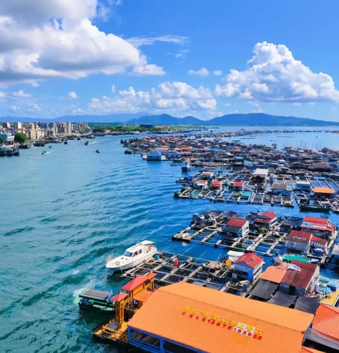 e4aa6d7d8603754d5bef3763ac9c7dbc-sz_2285135