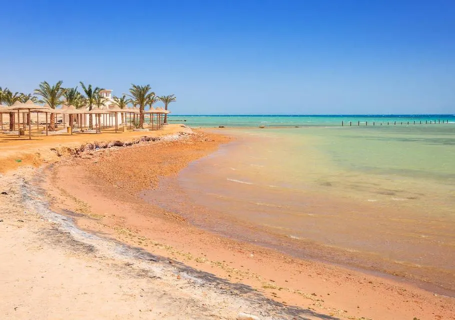 e4f91fb374f2b0657e5b8751044a7d2b-sz_1013405