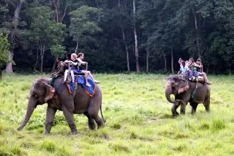 e51e05120e77bcb18514df94511b72a2-sz_19261