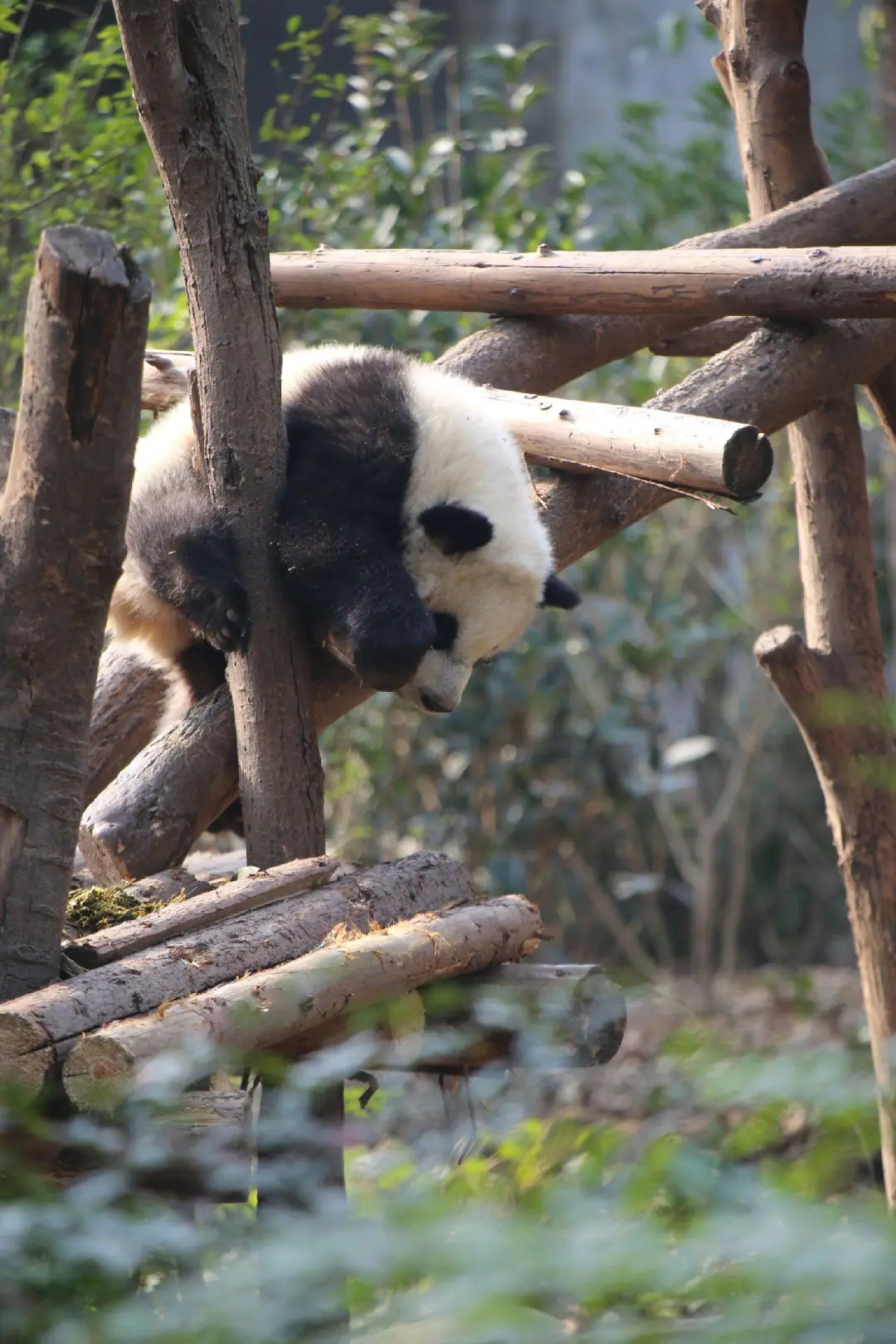 e5668ad2de2493d739eac4e9a829f6e9-sz_361059-1 e5668ad2de2493d739eac4e9a829f6e9-sz_361059-1