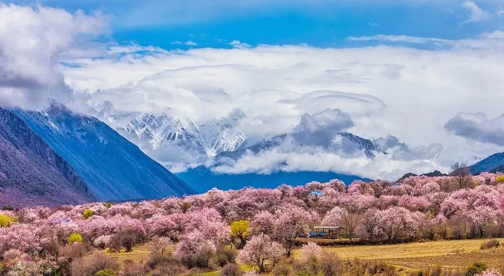 e56714369574d965ad31083795ef9ea6-sz_138773 e56714369574d965ad31083795ef9ea6-sz_138773