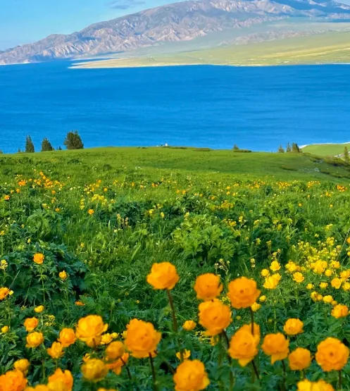 e56925cd2553daa499fb231848db1602-sz_575822 e56925cd2553daa499fb231848db1602-sz_575822