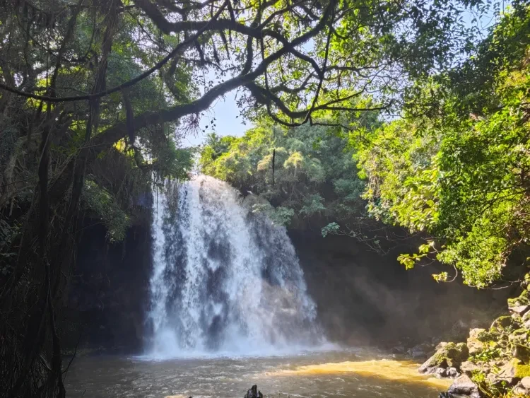 e5aa7dc147a260e117227406218afc19-sz_2937847