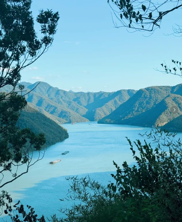 e5b510ea4c55c5bc21ef5d4a813c0d3f-sz_832564