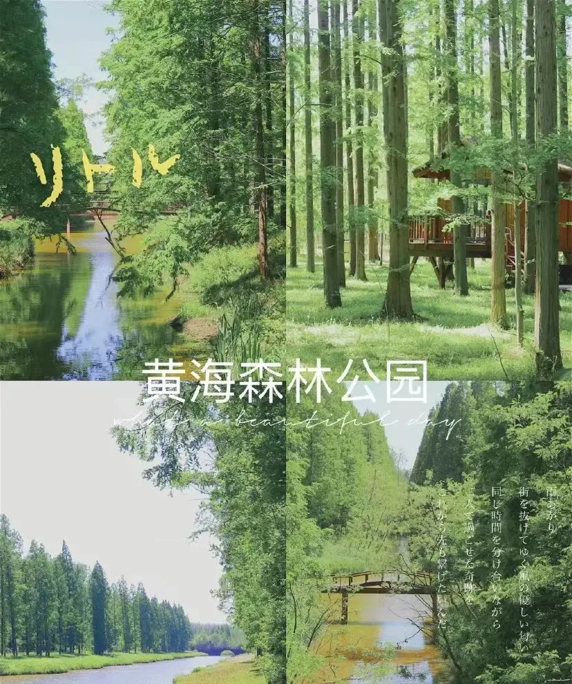 e63af9e05fd292c2feed378b180db1e7-sz_511123 e63af9e05fd292c2feed378b180db1e7-sz_511123