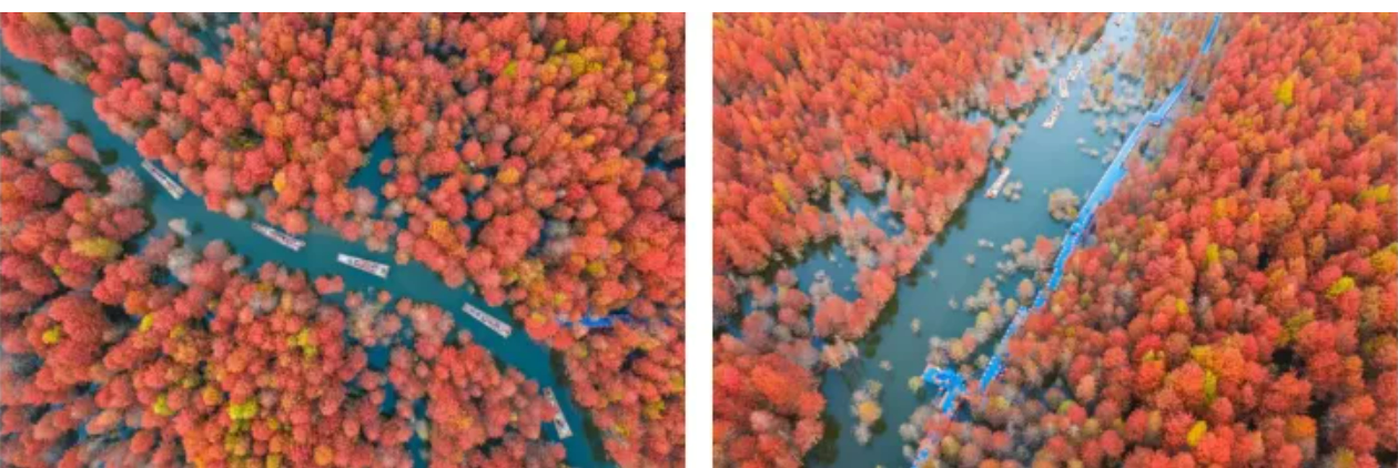 e65e83ff331b152f2ed26de9a34939ae