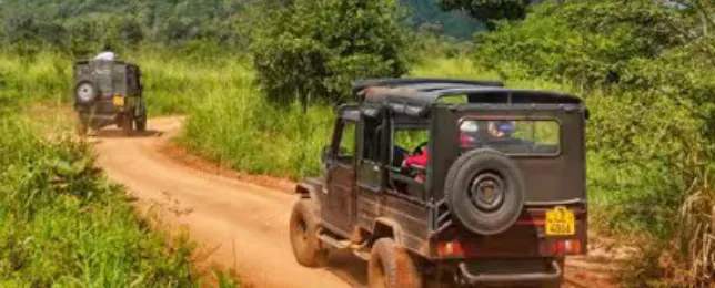 e6617a856d0dcecf6014899c48f3725e-sz_337601 e6617a856d0dcecf6014899c48f3725e-sz_337601