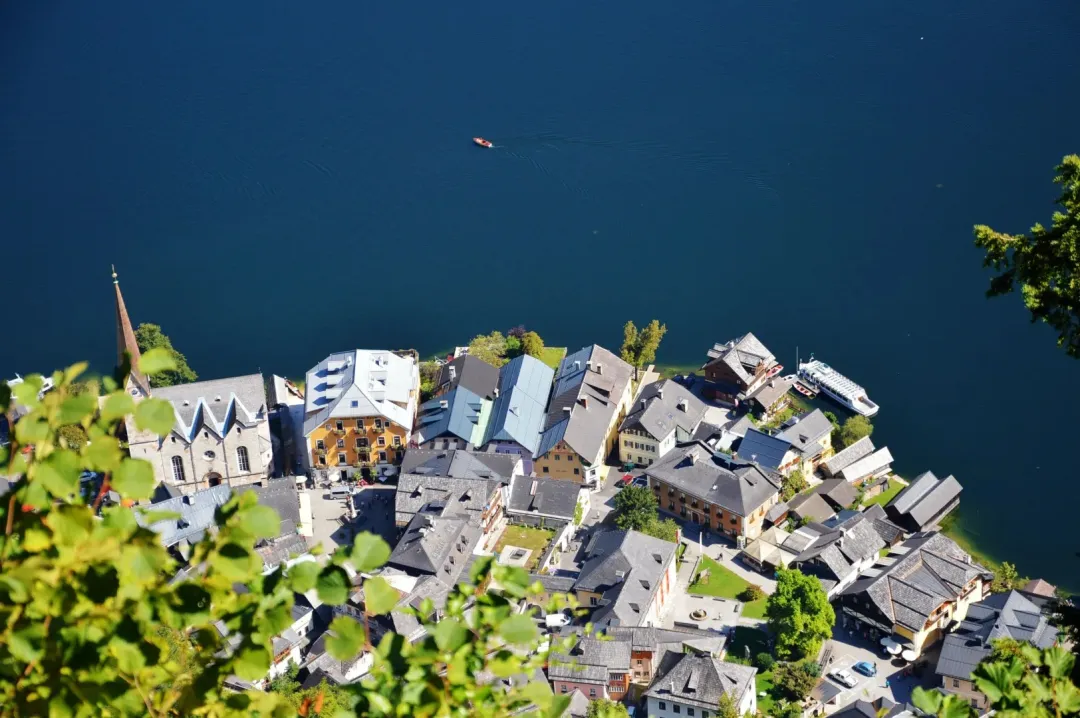 e66508acd26983585404aae4baeb8c58-sz_417613