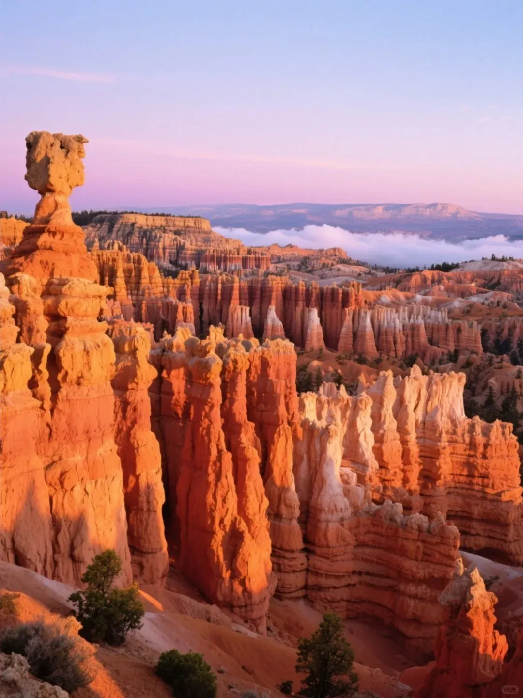 e665e6168bb171f8a9b4ff50bd785df9-sz_296672 e665e6168bb171f8a9b4ff50bd785df9-sz_296672