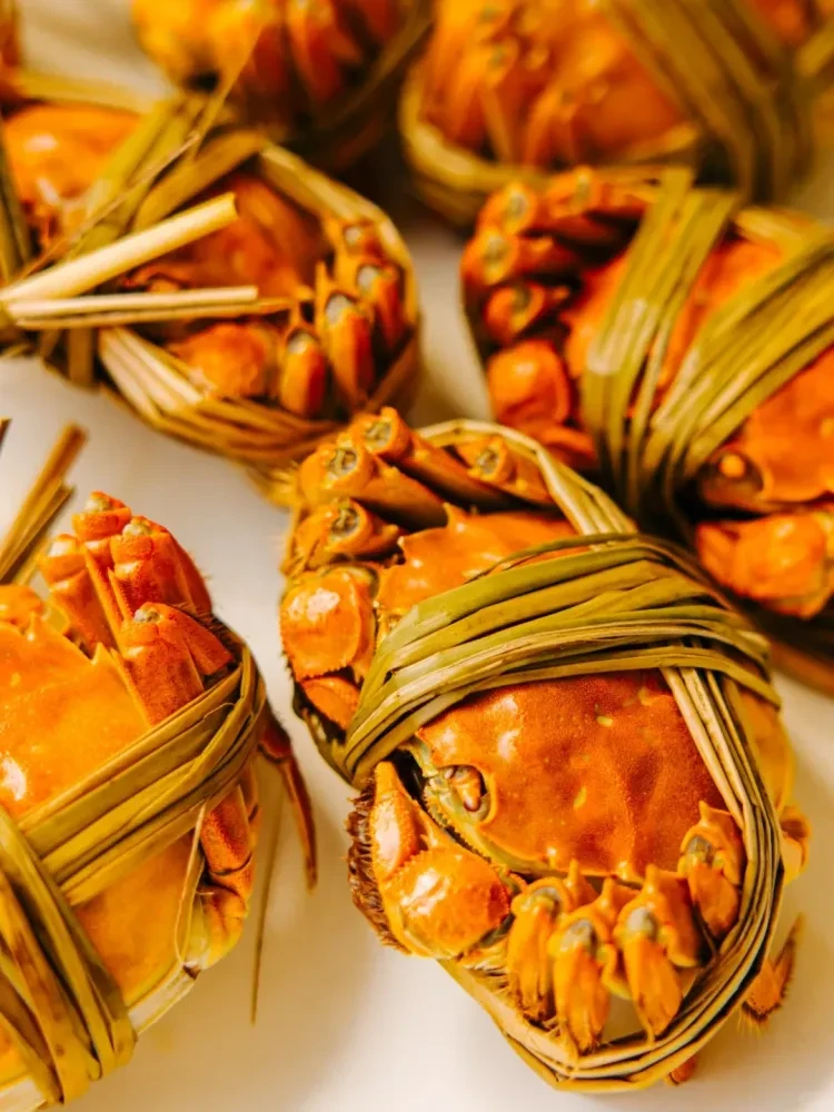 e683289578304e5ddf4fabf71fcc27af-sz_3239234 e683289578304e5ddf4fabf71fcc27af-sz_3239234