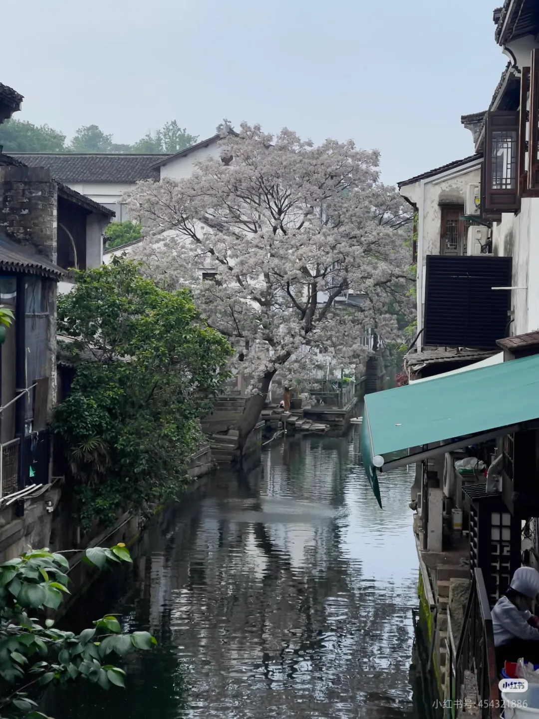 e6f8a0406082122810e9ed3421da45cf-sz_1441280-1