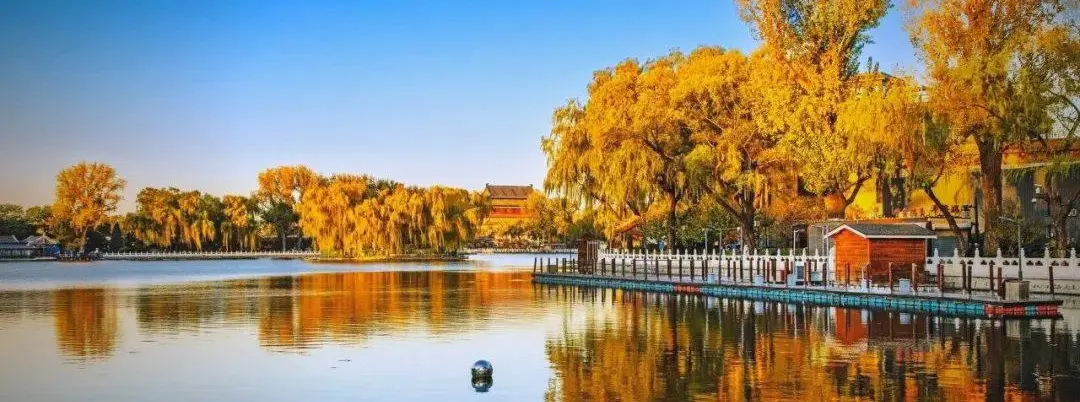 e6fdaf0ffa0de822be1d86ecf3a12e0f-sz_104186-1 e6fdaf0ffa0de822be1d86ecf3a12e0f-sz_104186-1