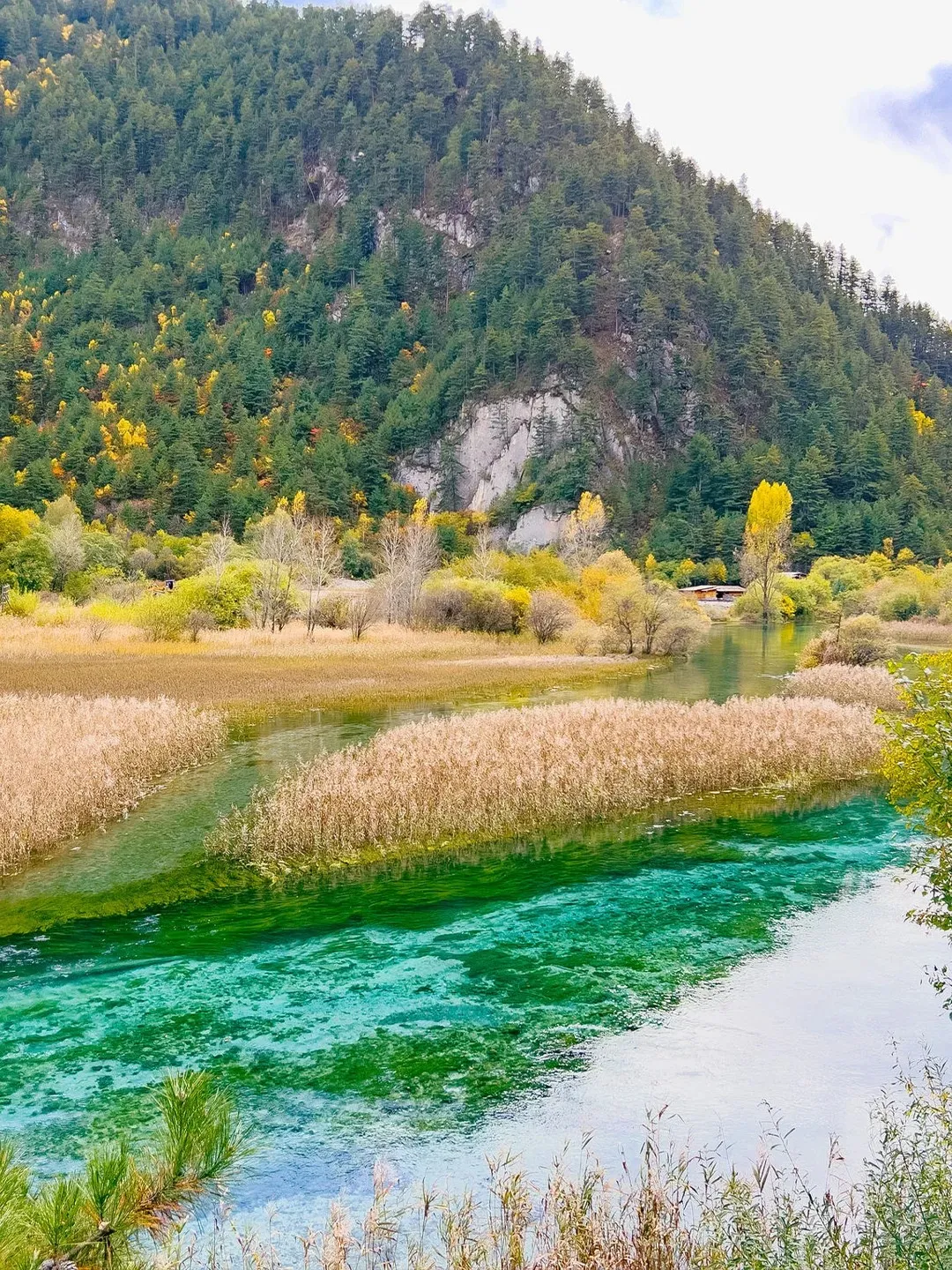 e6ff27f85e1d3d15e0a01dc02be9a18d-sz_765515