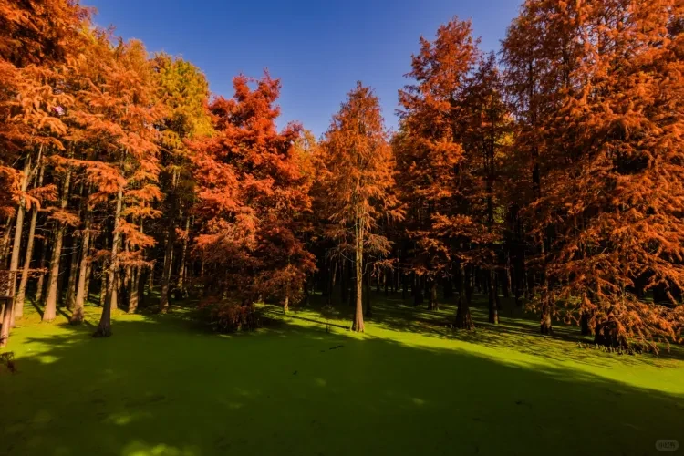 e7428bc723056c020aa0891f0e8563ec-sz_3326004