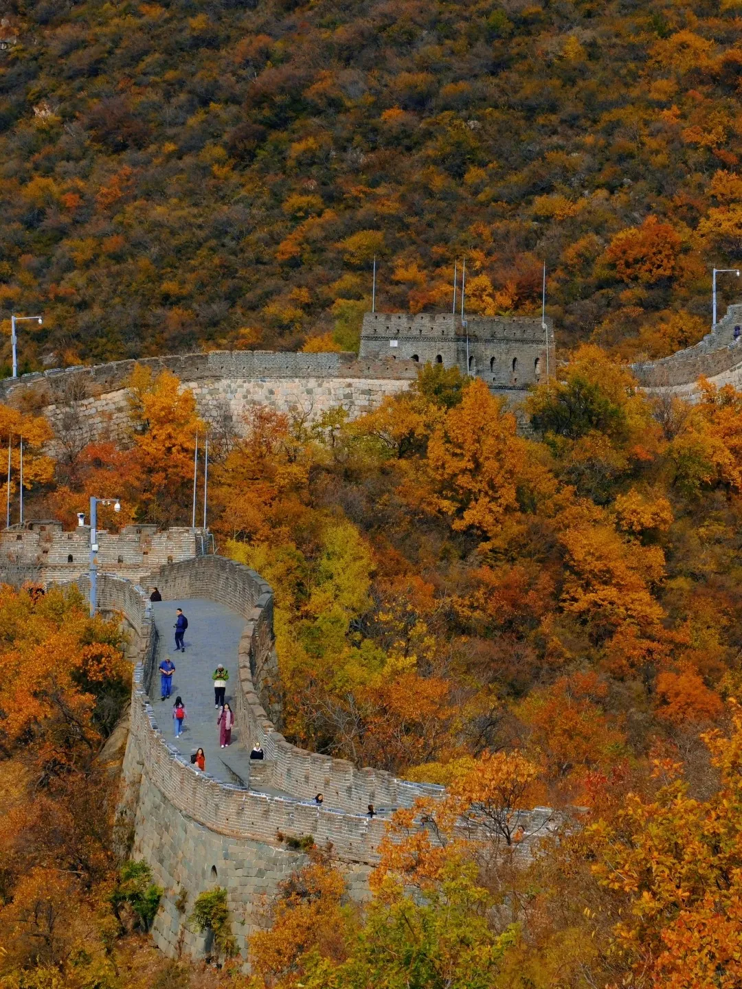 e755680d9e2966d906014dc3e7d4e06c-sz_692042