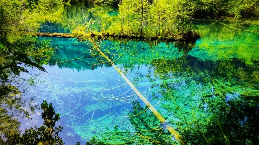 e7645974af58ebd9219d2314d78afd9e-sz_2633842