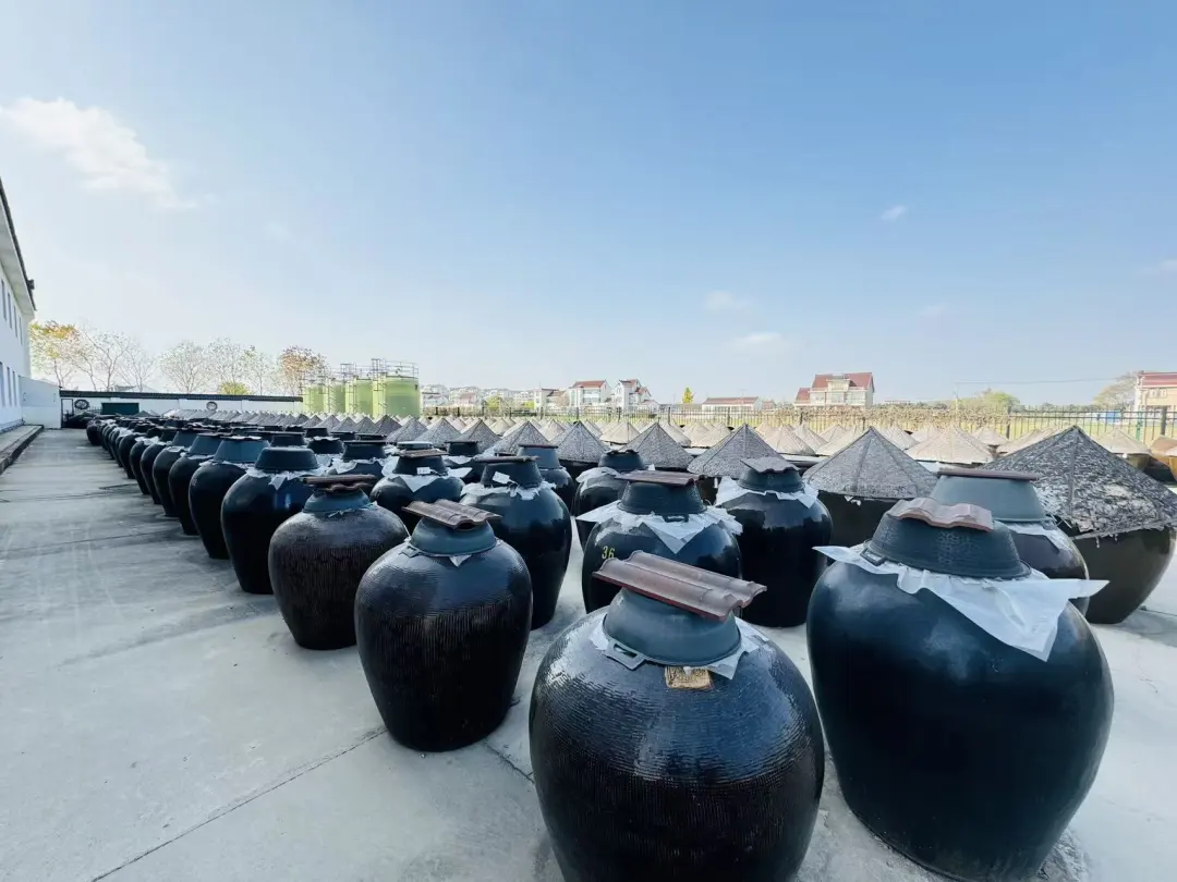 e76900a0bb7179c021933ecfcdf6a4c9-sz_225443