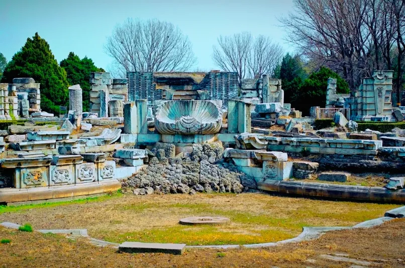 e77497c4484e42bb4b69626903d587d0-sz_443783