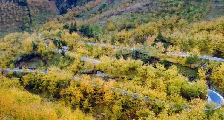 e7852c02f4a3dccbe89d313f468f7057-sz_185202