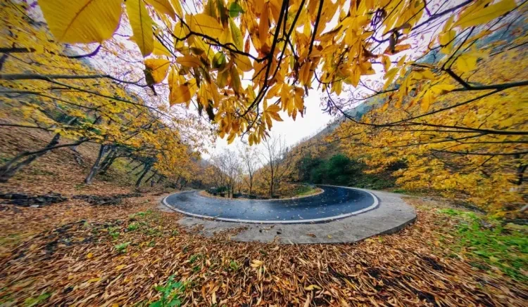 e7c6b347d8d7c3c28a02cdb782908797-sz_247631