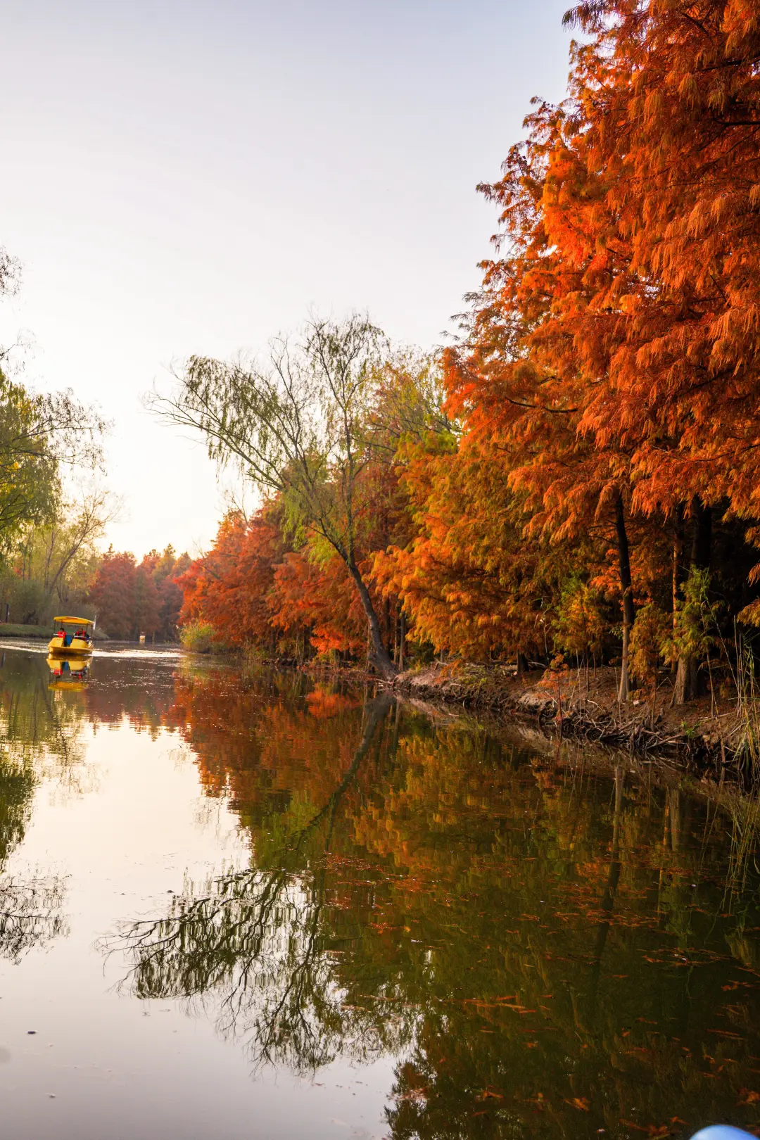 e7c8205c20891b576f5ffc6483bdf2cc-sz_5400365 e7c8205c20891b576f5ffc6483bdf2cc-sz_5400365