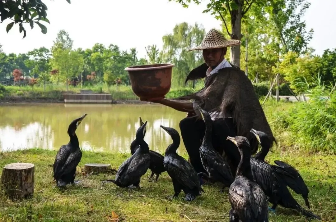 e7df2042b5db33f2e88ca0699a670949-sz_164814