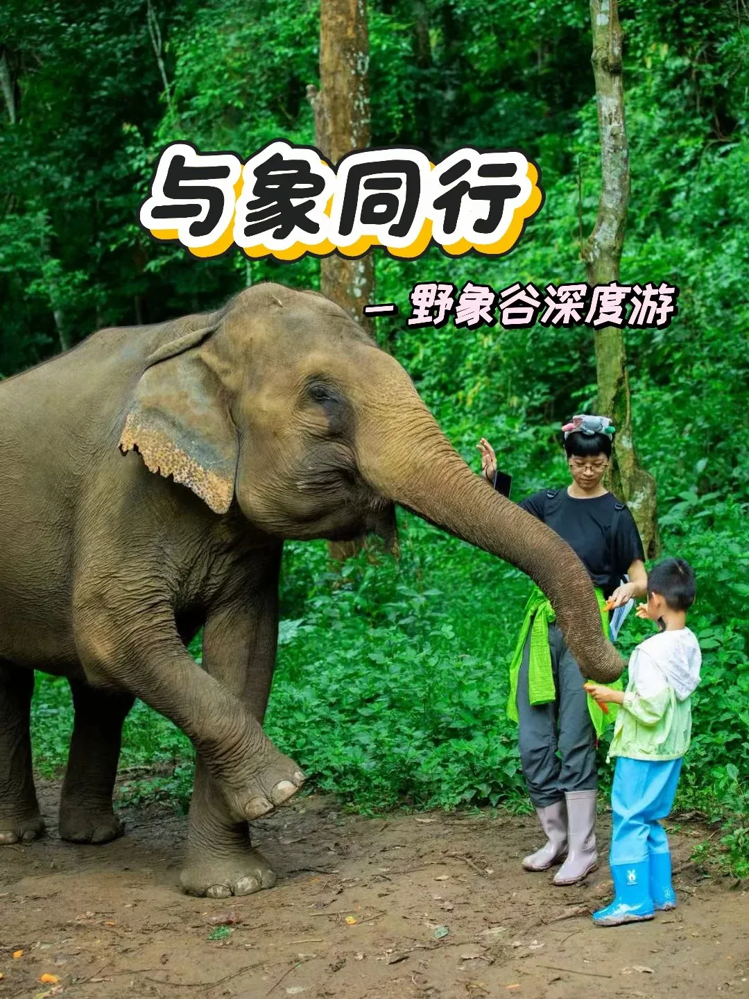 e83d1c65371805e968737084ce3d677f-sz_521548