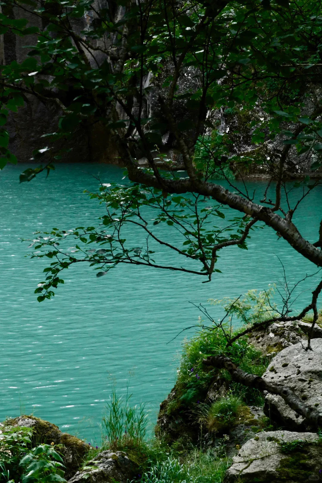 e871072c468c55cae63be2ff7fbd3242-sz_3136786