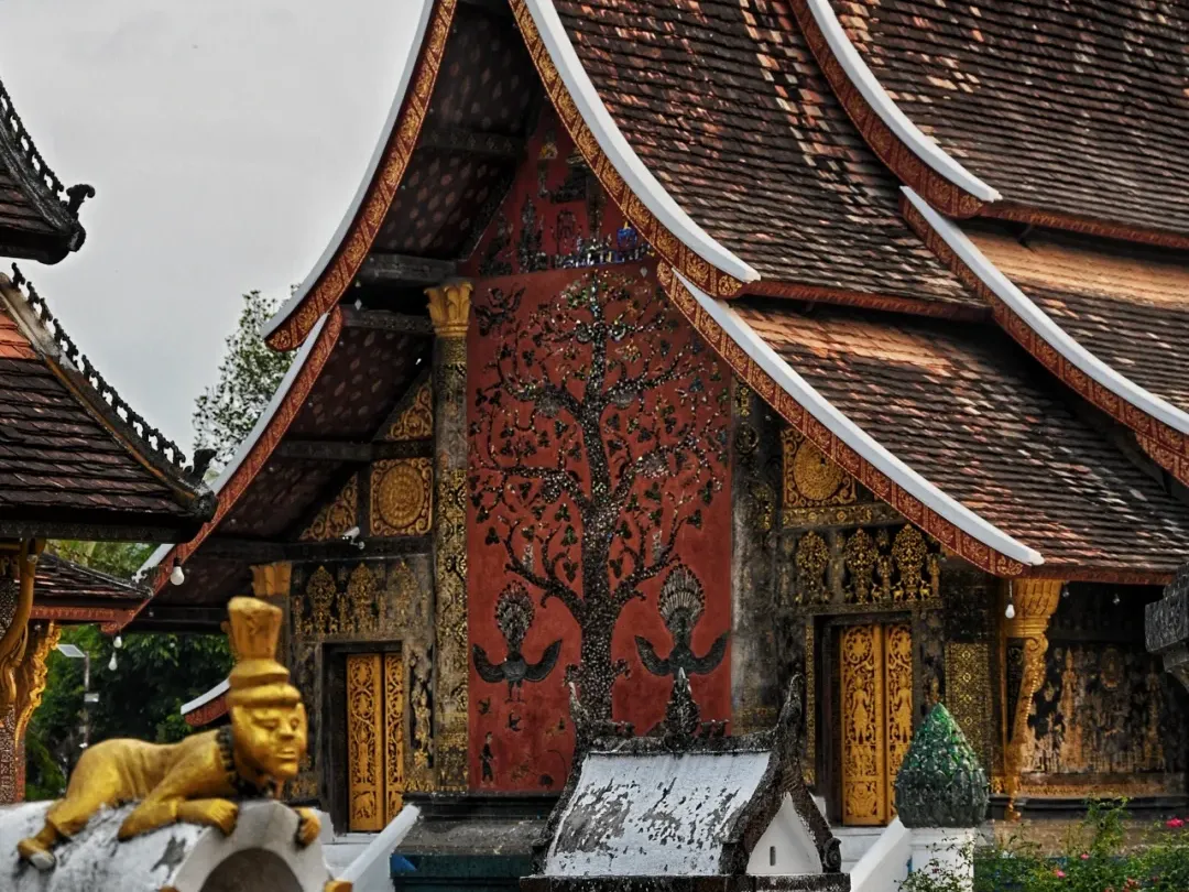 e898a1fddec0027c1511f980b055c8ef-sz_3622170