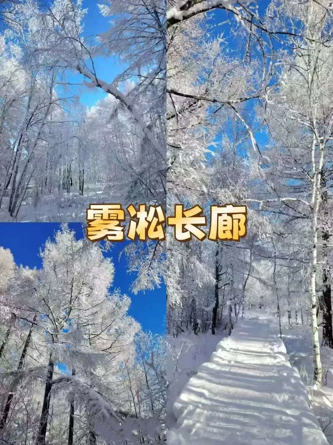 e8ede7859fdea940c15eecbf46fe5a09-sz_532420 e8ede7859fdea940c15eecbf46fe5a09-sz_532420