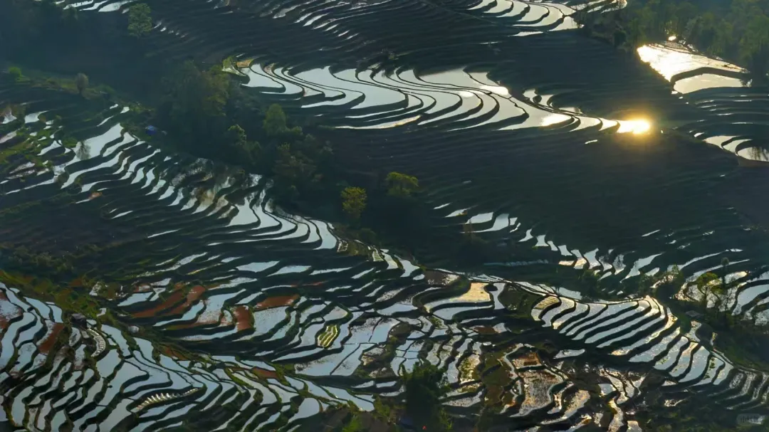 e902bc2a898567141d457950136a86a8-sz_1786874-1