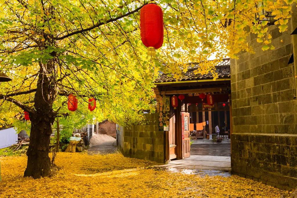 e91cbcb669ec852675568147fbb6ed05-sz_1898575