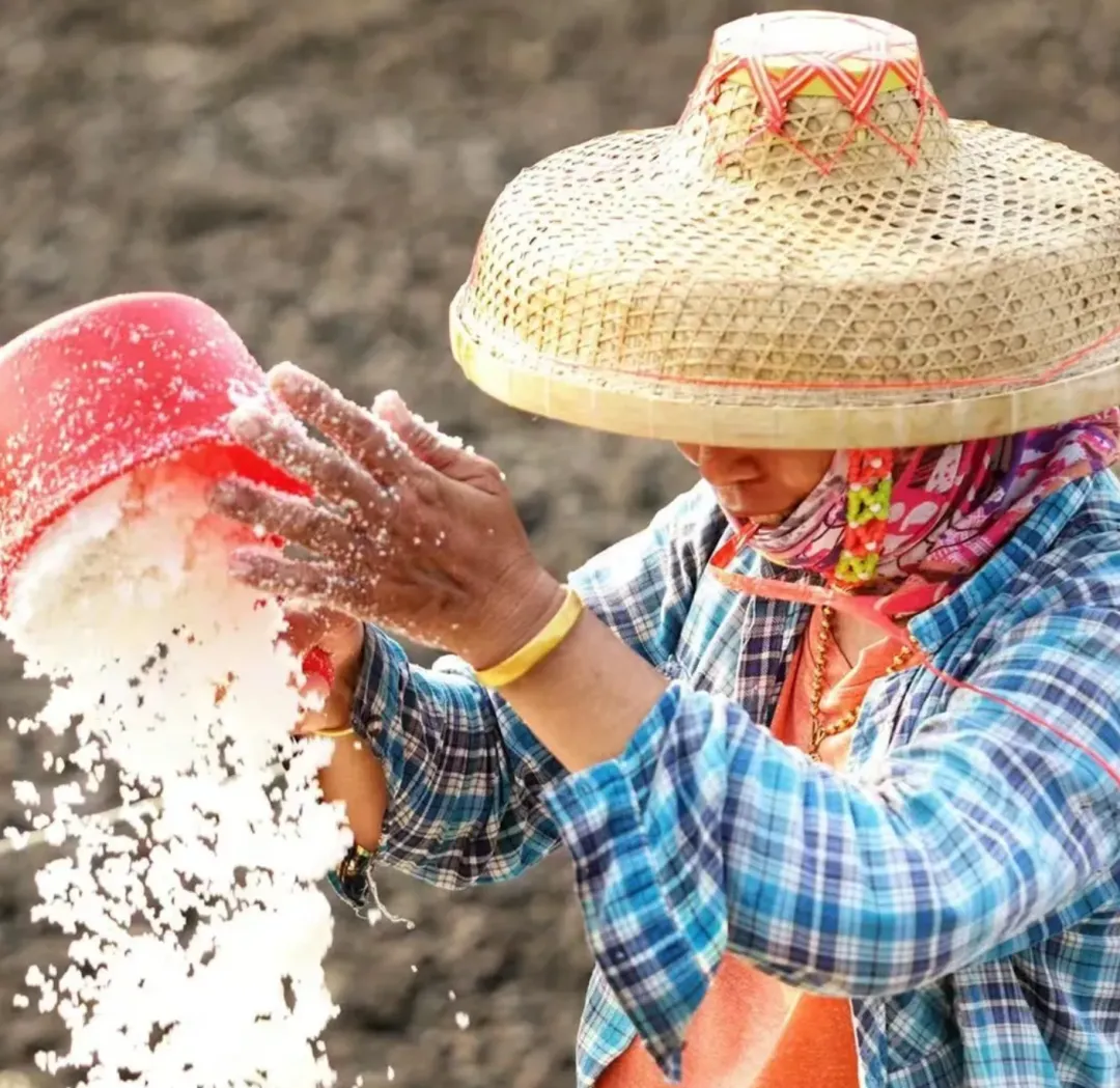 e93c67bfc3808173b59a27a1f1abd675-sz_2923206