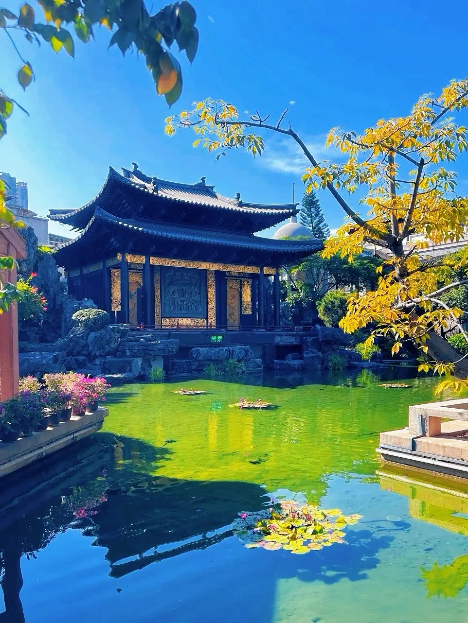 e94a563c805baffa695133251a14d2b3-sz_1635389-1