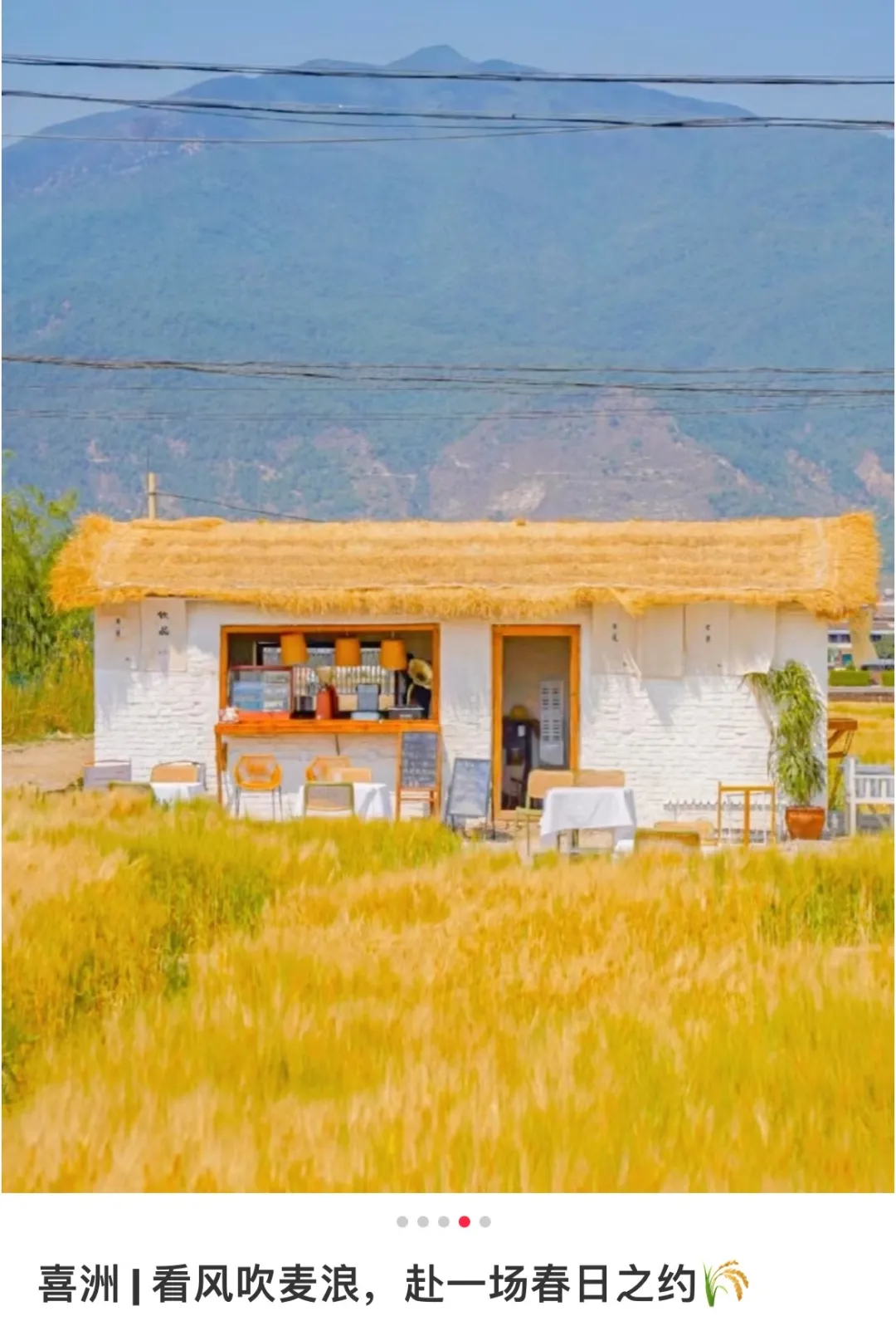 e956ba983d8a2e01fc5f8ff35cc03bcd-sz_315632 e956ba983d8a2e01fc5f8ff35cc03bcd-sz_315632