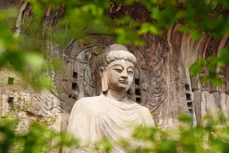 e99b6612a55c3a1e7128bc108a8bcfd5-sz_68031 e99b6612a55c3a1e7128bc108a8bcfd5-sz_68031