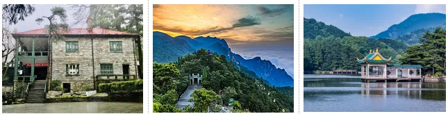 e99c3922e88ec536722018029eaf4236-sz_267519