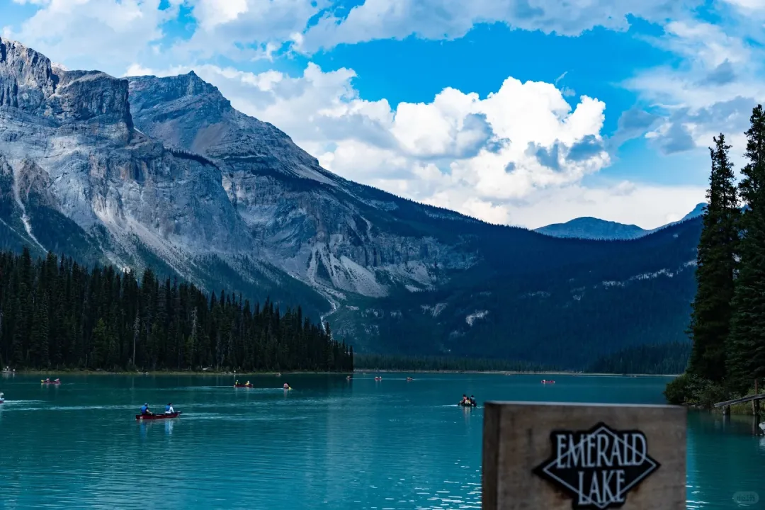 e9b247c955c76f21246733c2a09ced11-sz_458587 e9b247c955c76f21246733c2a09ced11-sz_458587