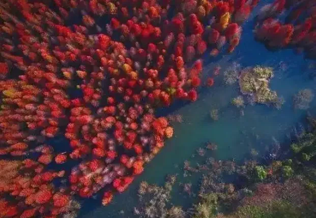 e9ef4d33c1ad17fe9bf10a5b800289af-sz_657445 e9ef4d33c1ad17fe9bf10a5b800289af-sz_657445