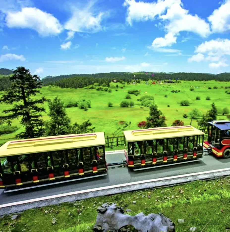 e9f751502f4e894f4c62e6d5a8f0ca7d-sz_1588849