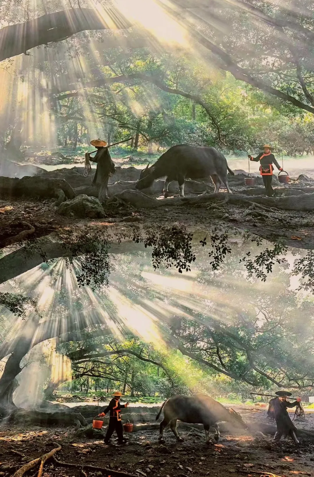 ea026293408849d016686db30d5246de-sz_2614512-1