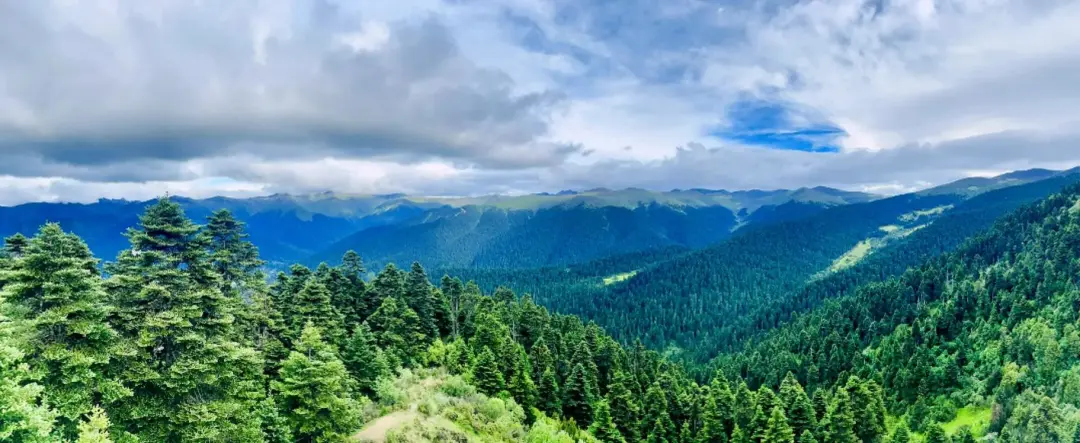 ea250747df202c121633d88fea42c521-sz_233581 ea250747df202c121633d88fea42c521-sz_233581