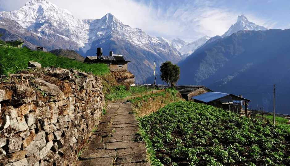 ea7d555c756f9da5ff2cace0216fddfd-sz_326703