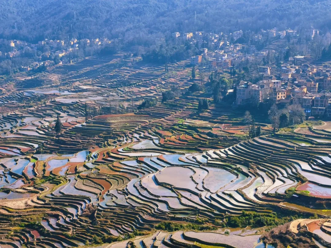 ea7e2527e1403ea4ea403d8f08ae119e-sz_4353559 ea7e2527e1403ea4ea403d8f08ae119e-sz_4353559